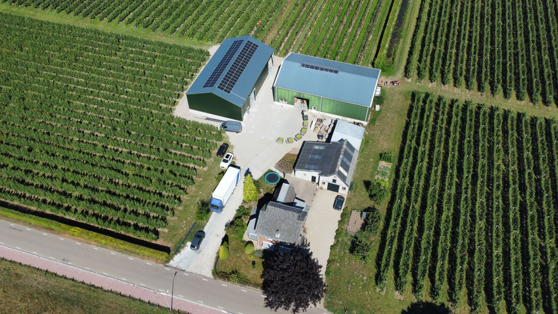 zonnepanelen fruitteler